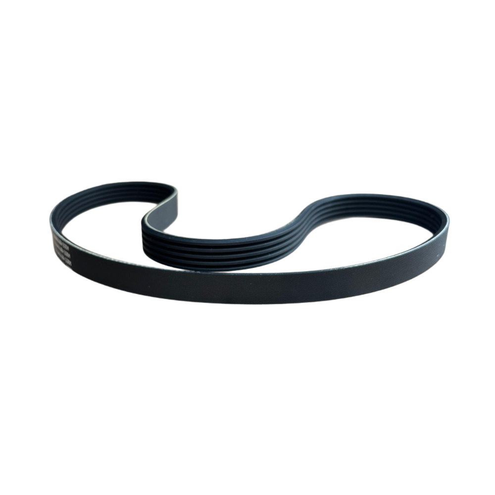 5 Rib/PK Belt, 4281051M2, Massey Ferguson Tractors, Ned Murphy Tractors Ltd.