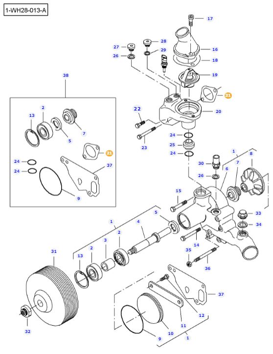 Water Pump Gasket, Ned Murphy Tractors Ltd.