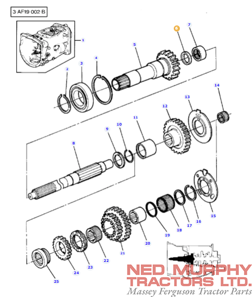 Oil Seal - 883935M4 - Image 2