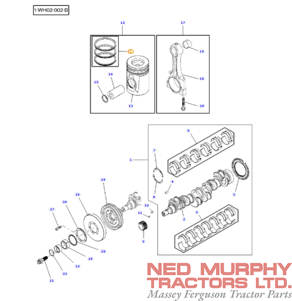 Piston Ring Kit 4225071M91 - Image 2