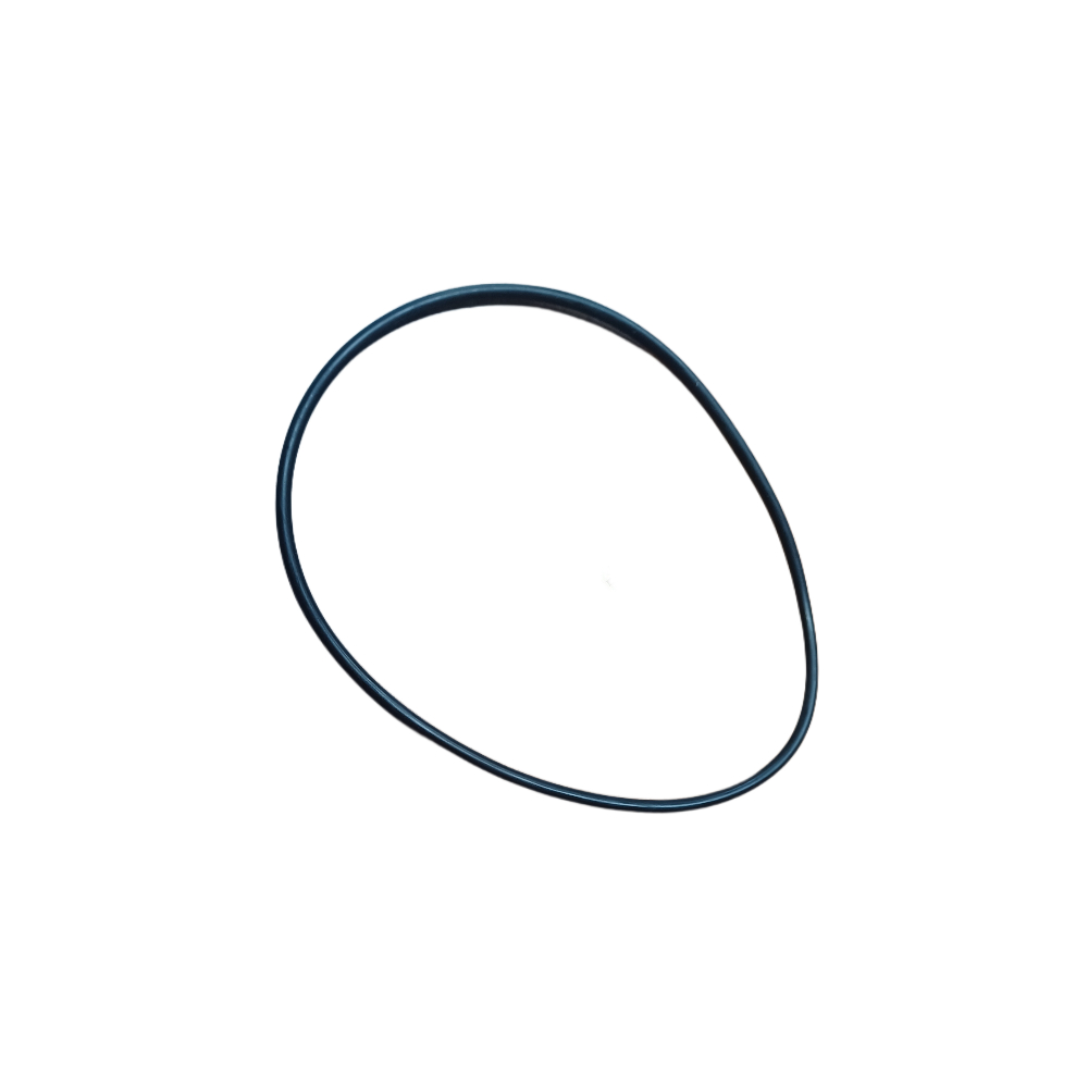 O-Ring X548989201000