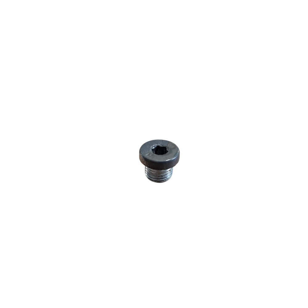 Screw Plug V640328110, Massey Ferguson Tractors, Ned Murphy Tractors Ltd.